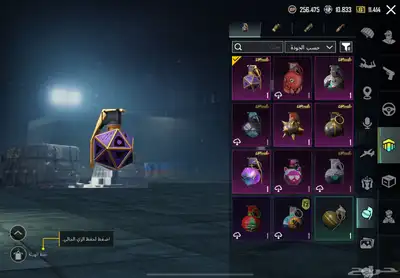 ببجي 33