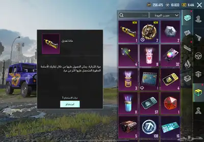 ببجي 17