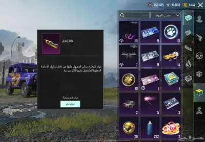 ببجي 19