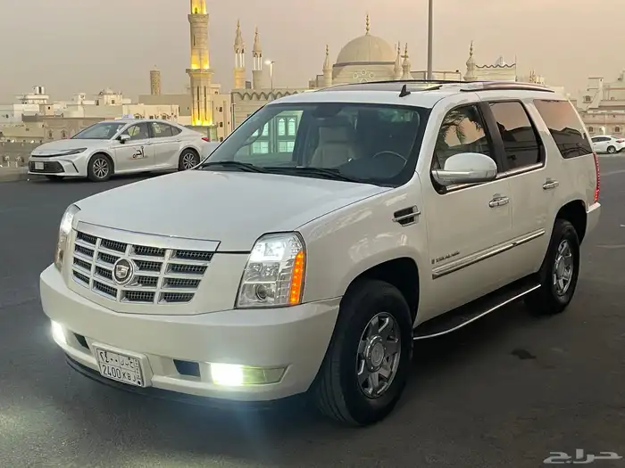 تم البيع 11