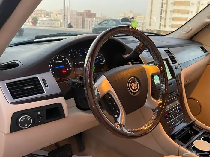 تم البيع 12