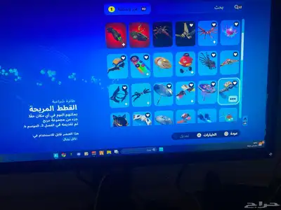 حساب فورت نايت 21