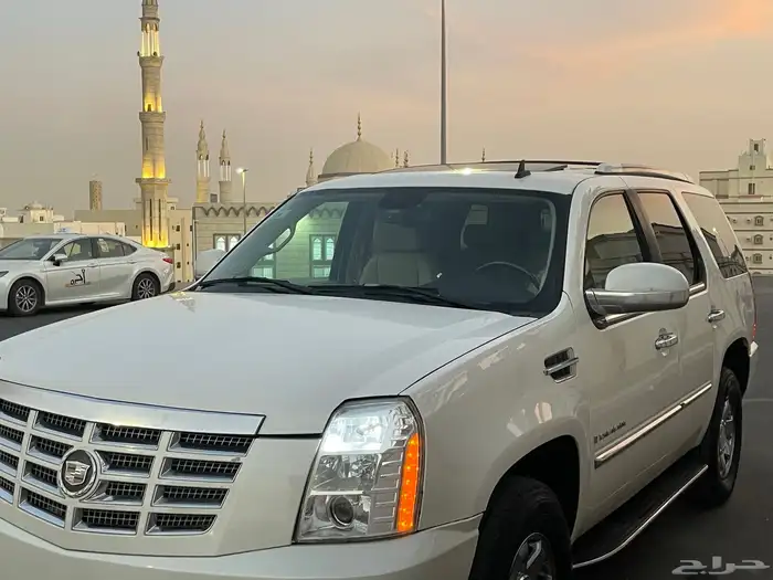 تم البيع 9