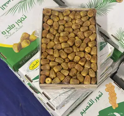 تمر سكري مفتل من مزارعنا طيب ب الحيل خراف اليوم بادر ب الحجز 0