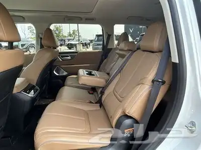 2025 Infiniti QX80 SENSORY 19