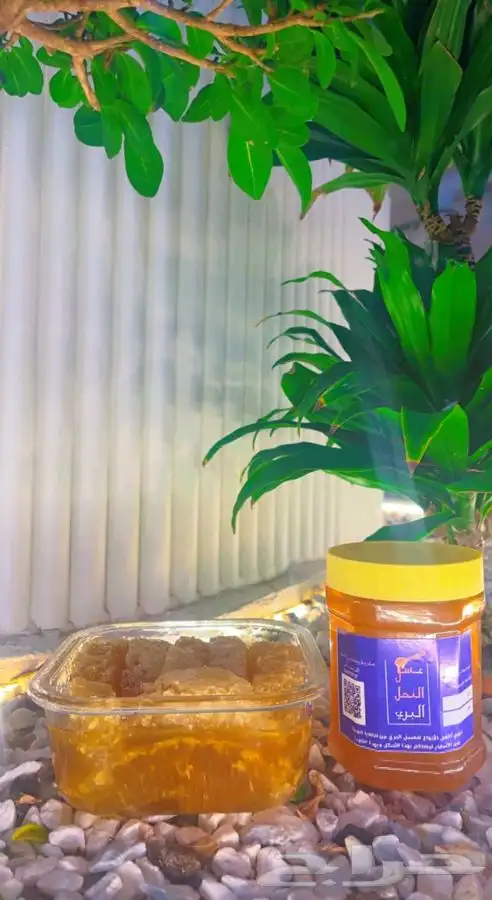 عسل اصلي ومشروط للعلاج 1