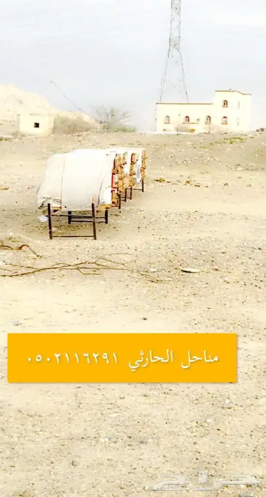 عسل سدر اصلي ومضمون شرط 0