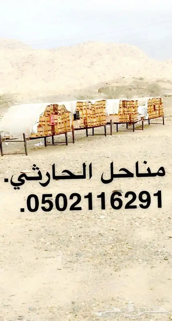 عسل سدر اصلي ومضمون شرط 3