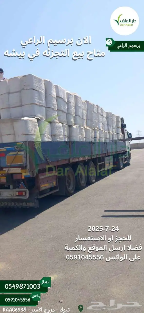 برسيم الراعي 3