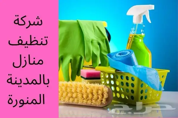 شركة مكافحة حشرات بالمدينة المنورة 4