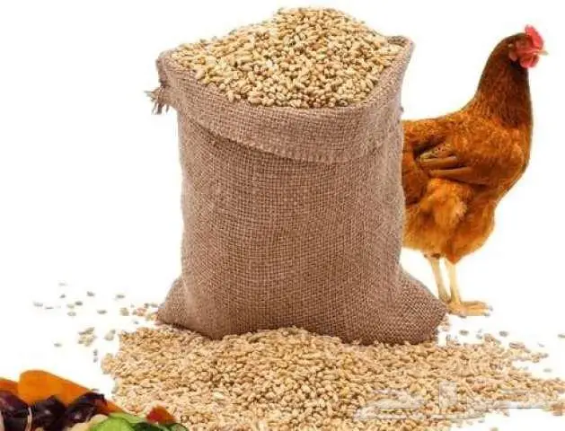 أعلاف دجاج 0