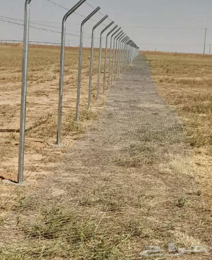 مقاول شبوك 11