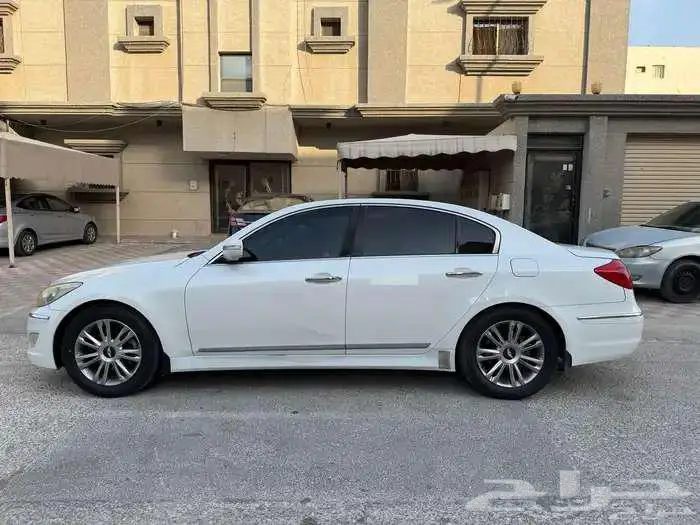 جنسس 2013 11