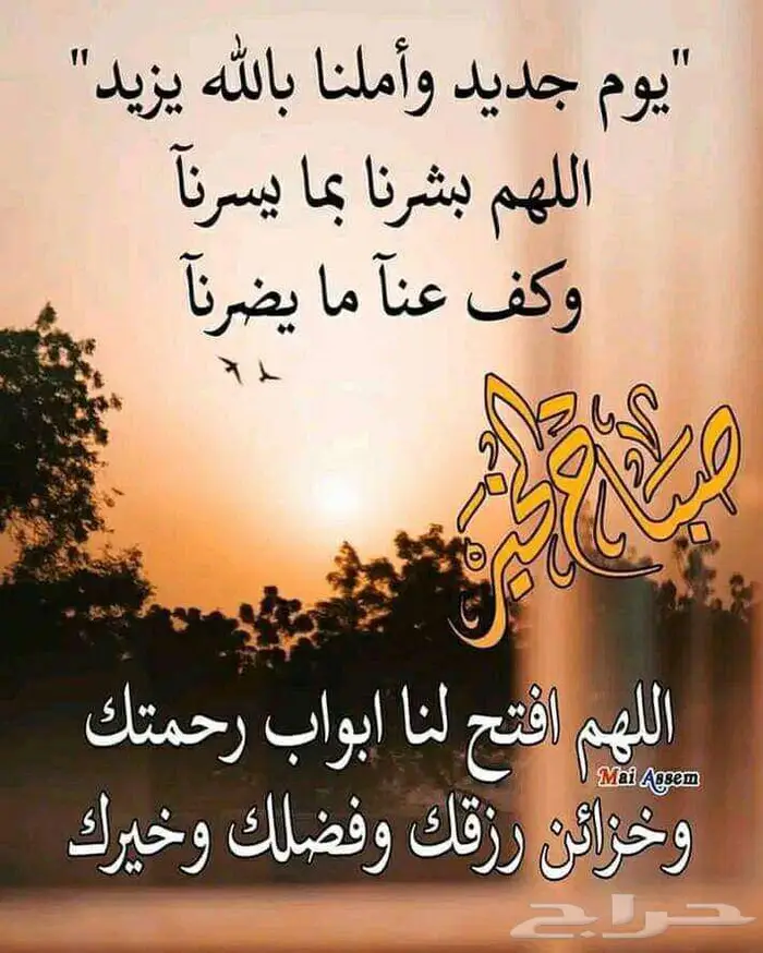 فني كهرباء 0
