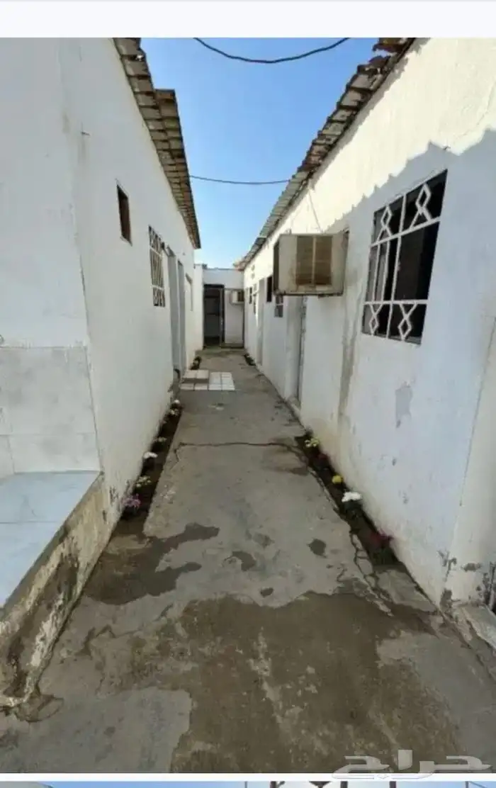 غرف للايجار الشهري والسنوي في ثول 1