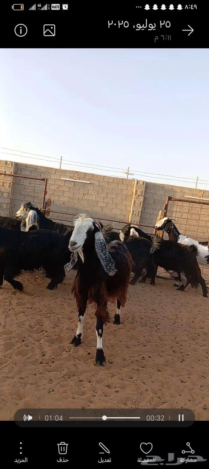 للبيع معزا عوارض ومشاريك خصم دفيع index