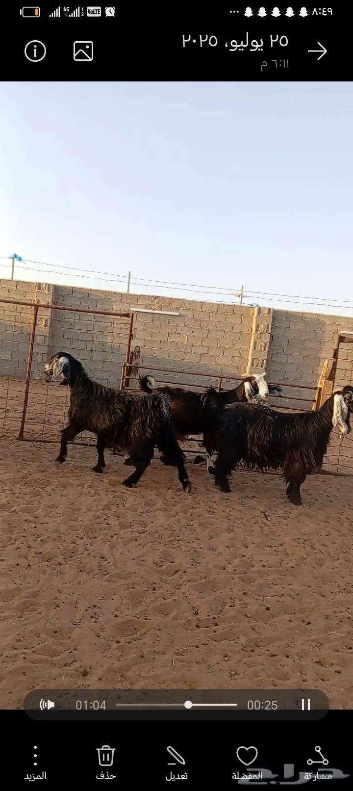 للبيع معزا عوارض ومشاريك خصم دفيع index