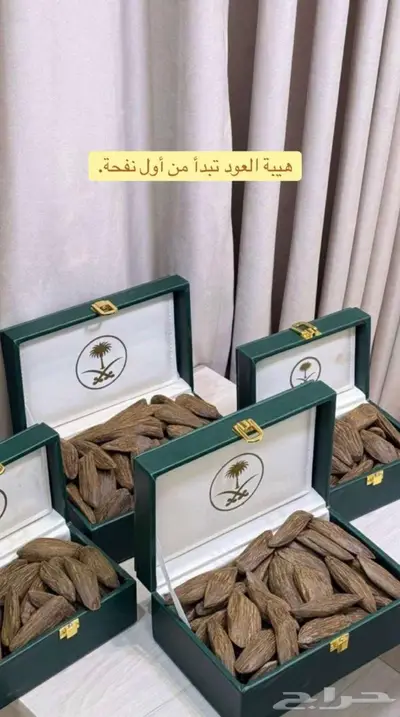 العود الفخامه الملكي سكاكا 1