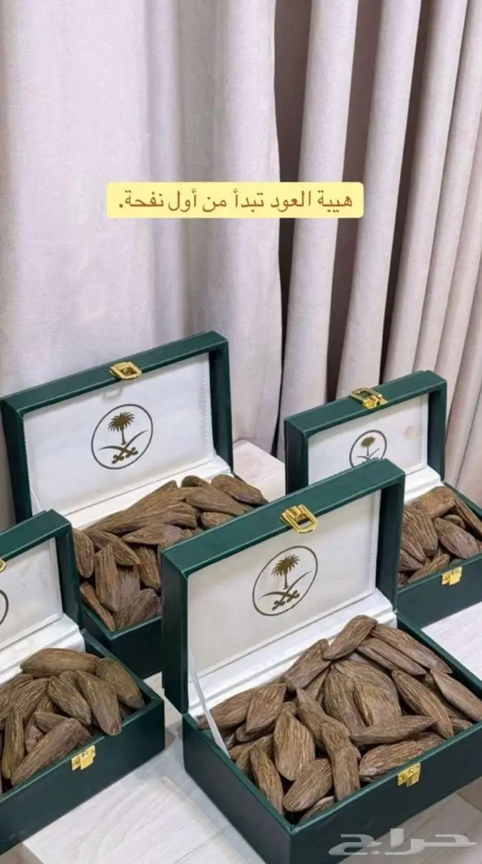 العود الفخامه الملكي سكاكا 1
