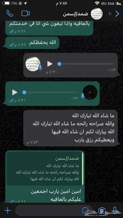 سمن بقر 7