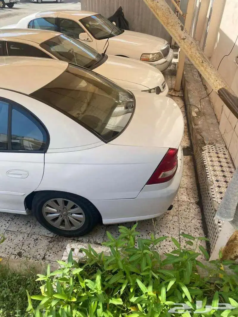لومينا 2006 تشليح 0