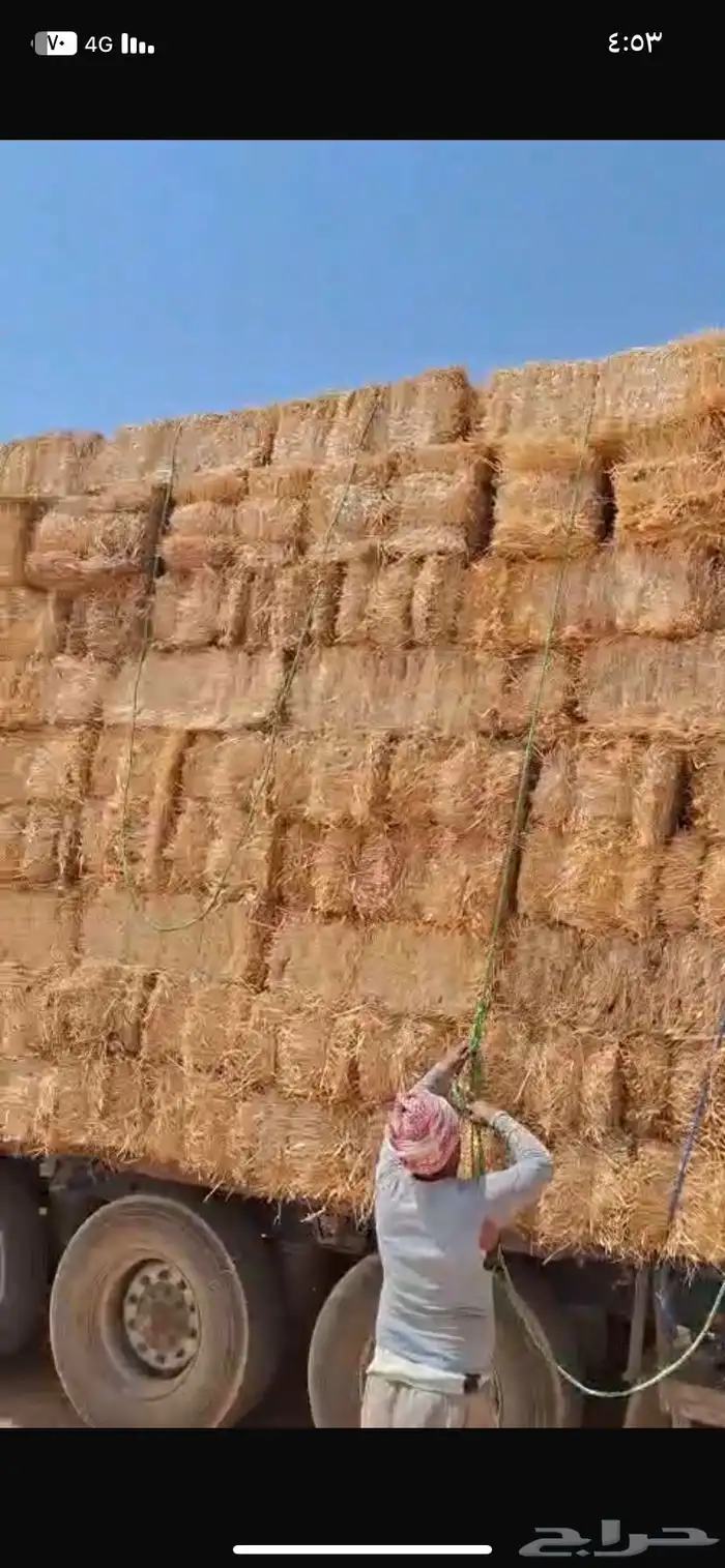 تبن 1