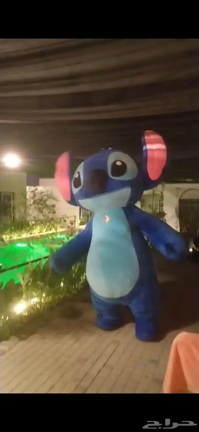 مهرجه ومنظمين فعاليات صقارين نساء ورجال 3