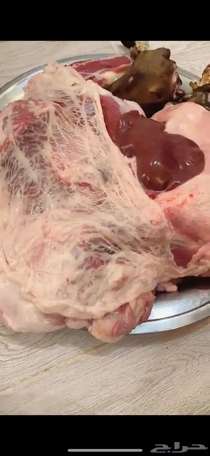 ذبائح حائل 8