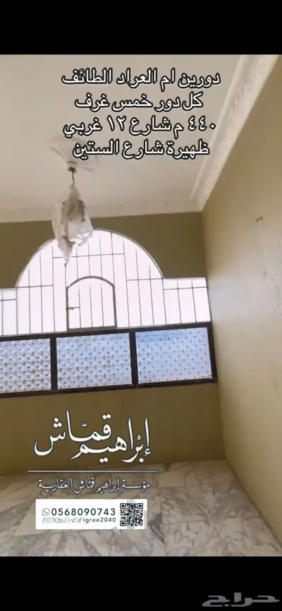 عماره دورين وبدروم ام العراد 37