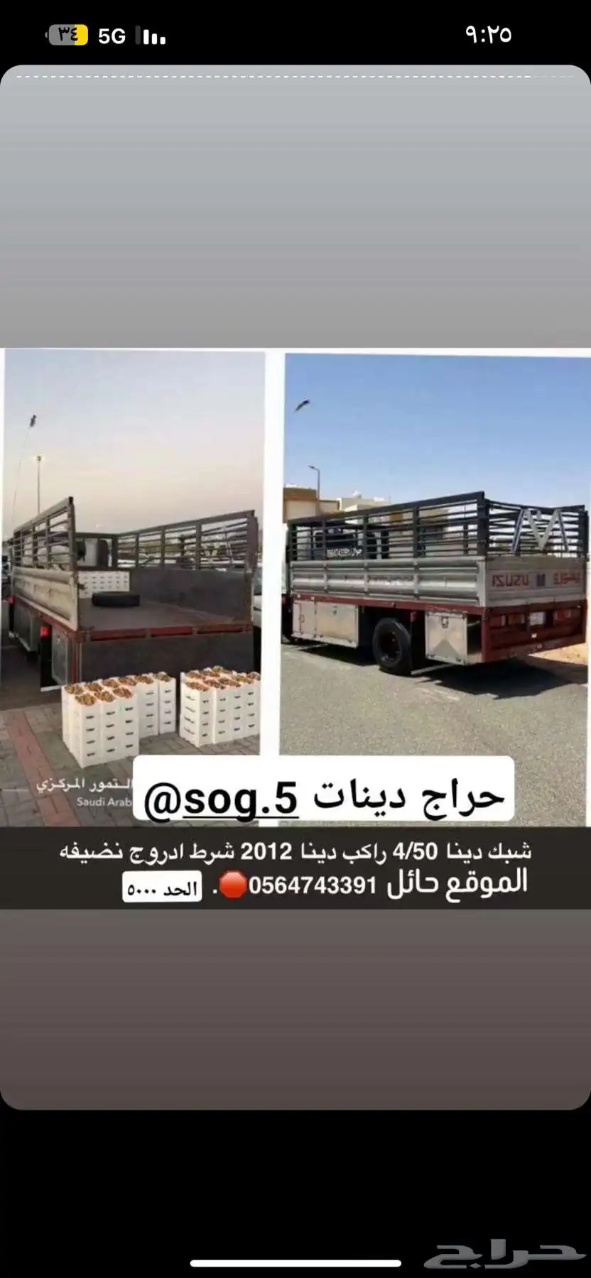 شبك دينا 0