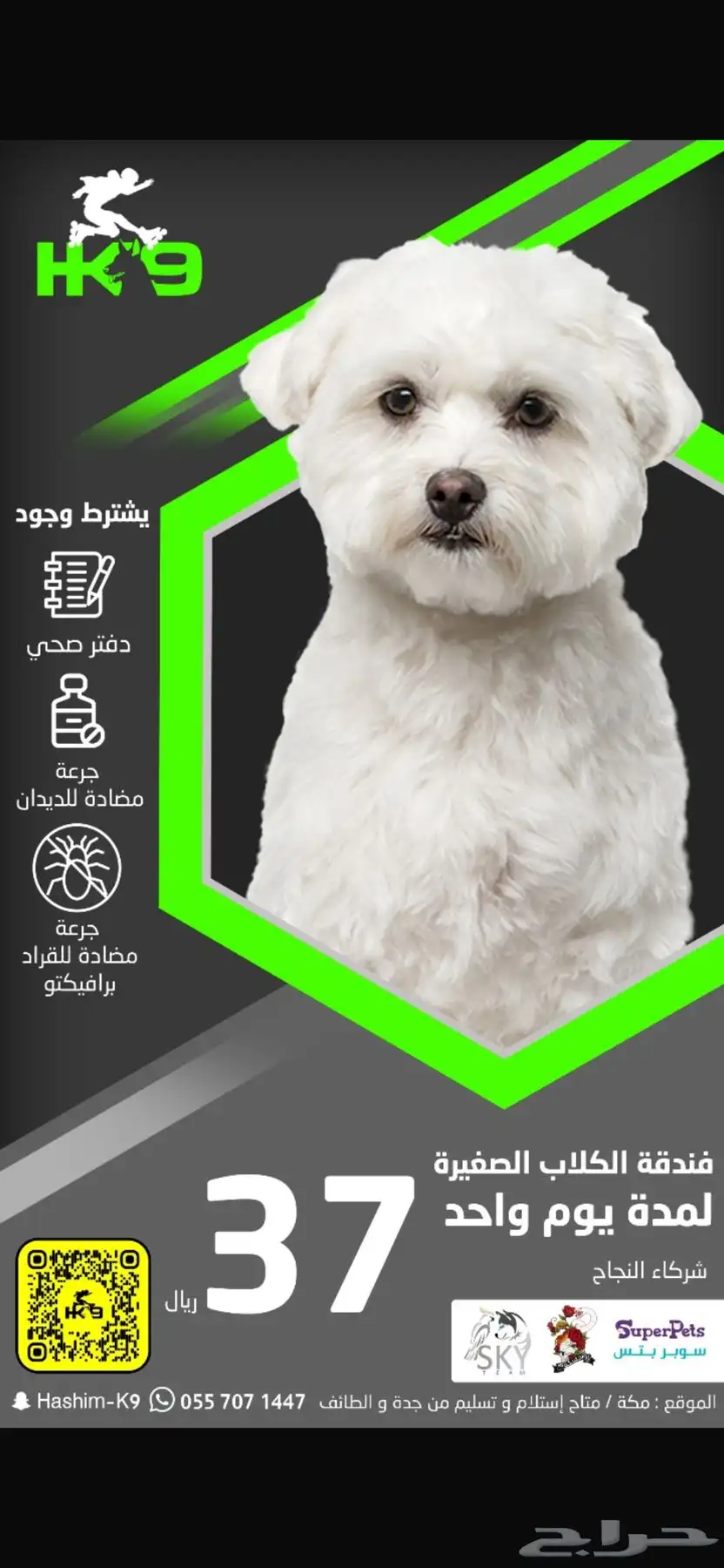 فندقه للكلاب index