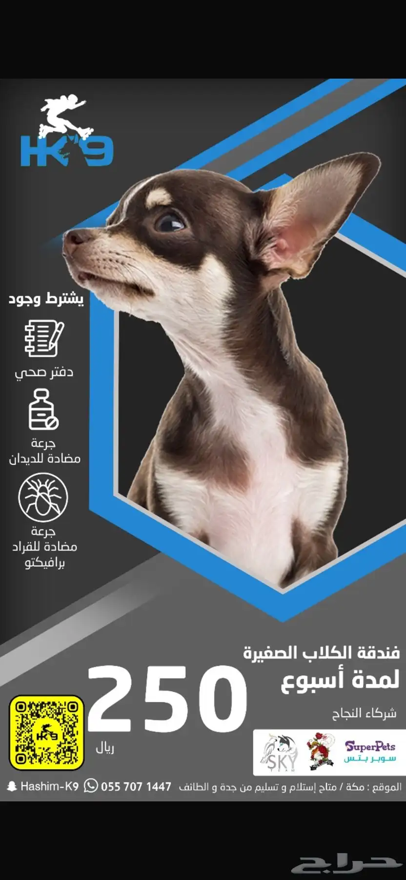 فندقه للكلاب index