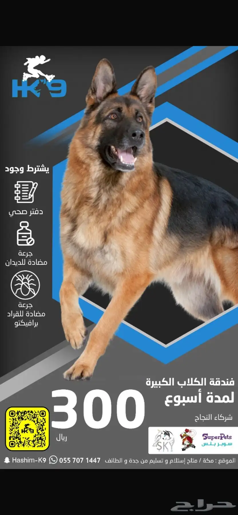 فندقه للكلاب index