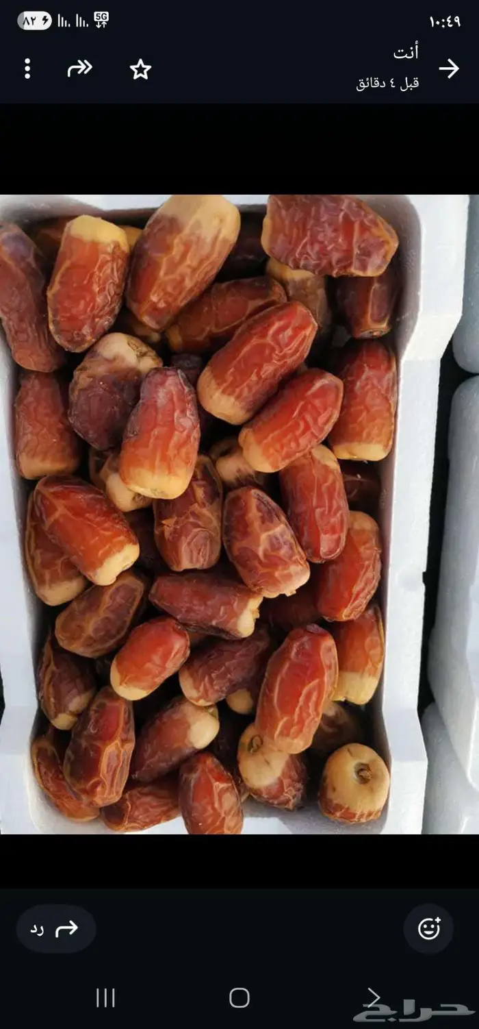 تمر صقعي للبيع 0