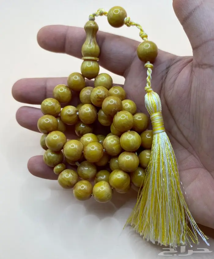 كل ما هو معروض للبيع 48