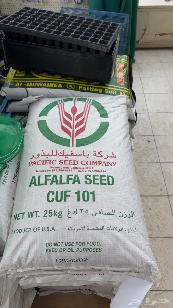 بذر برسيم Ca101 0