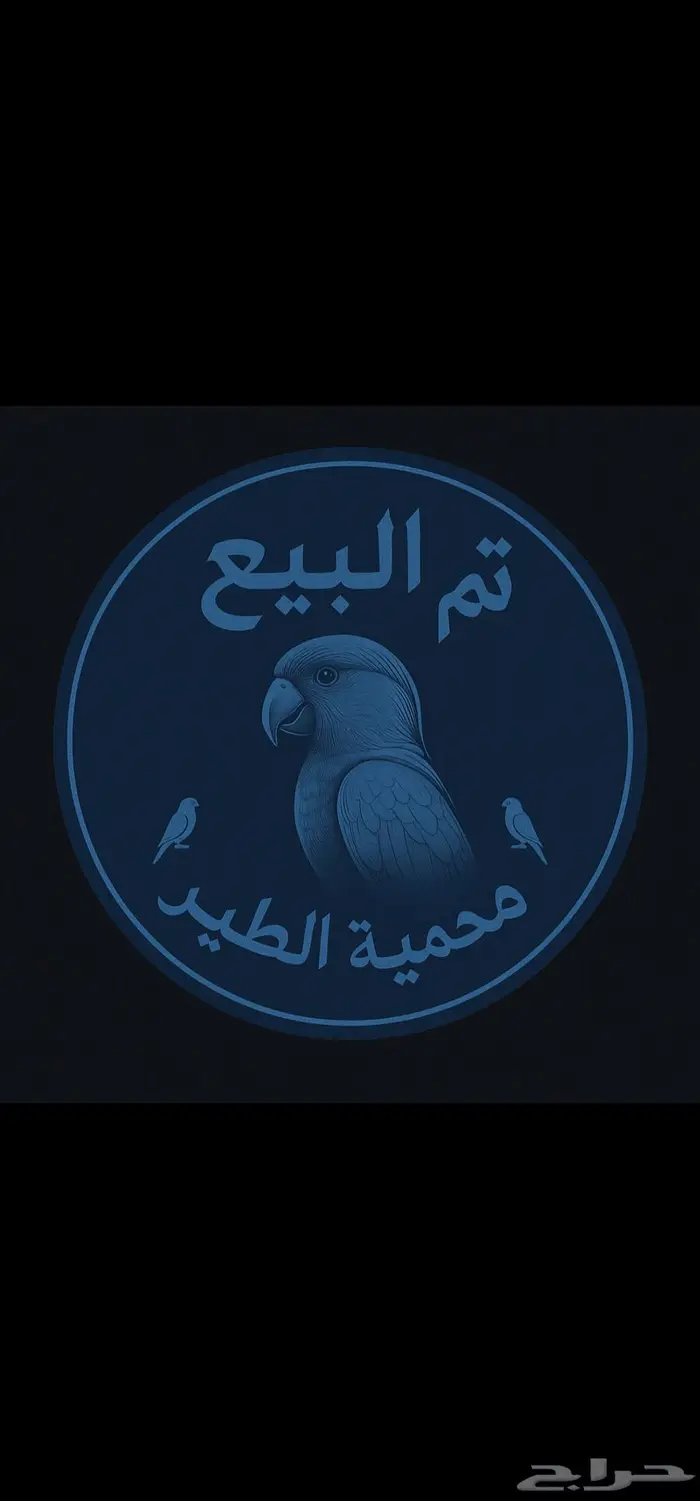 جوز امزوني يلو كراااون وحش للانتاج فقط 0