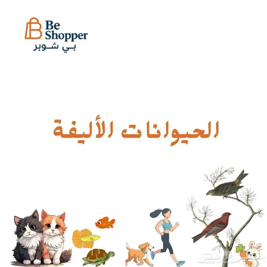 اكل قطط وكلاب ومستلزماتهم منتجات الحيوانات الأليفة 0