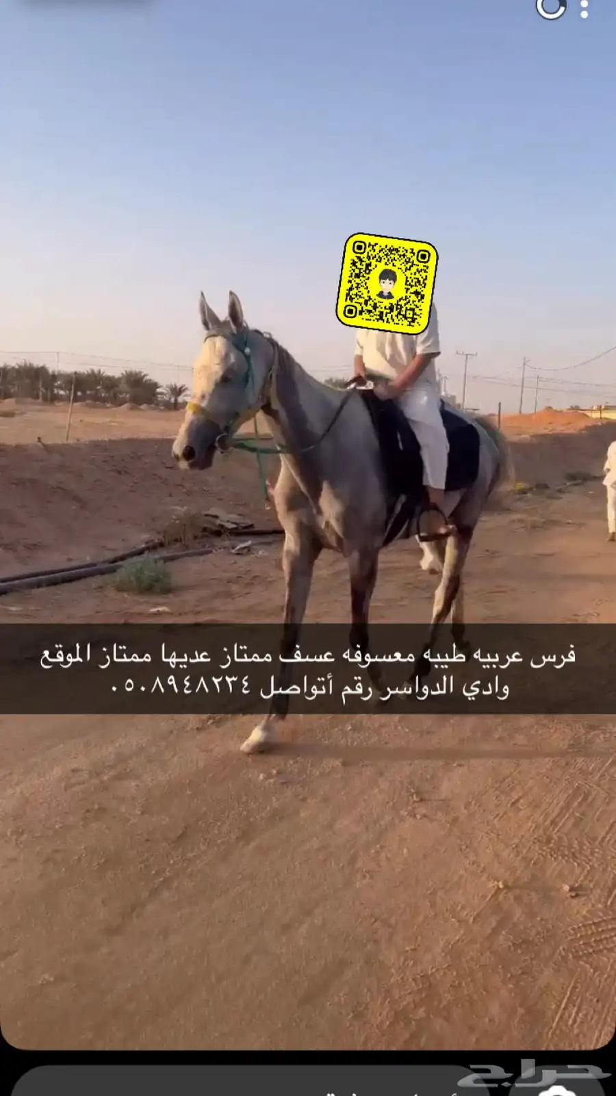فرس طبع شرط 0