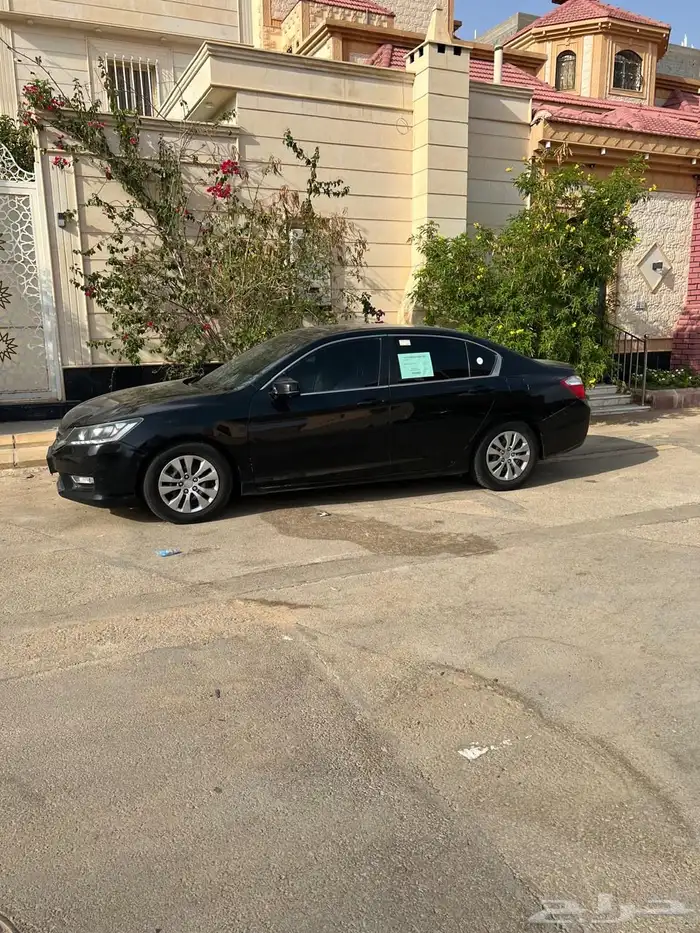 هاوندا كورد 2014 4