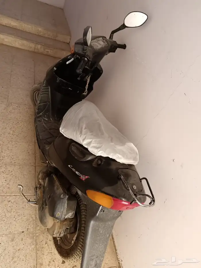 دباب بطه للبيع 1