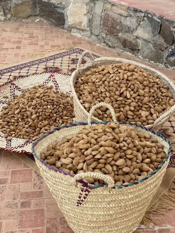 لوز الباحة البلدي 0