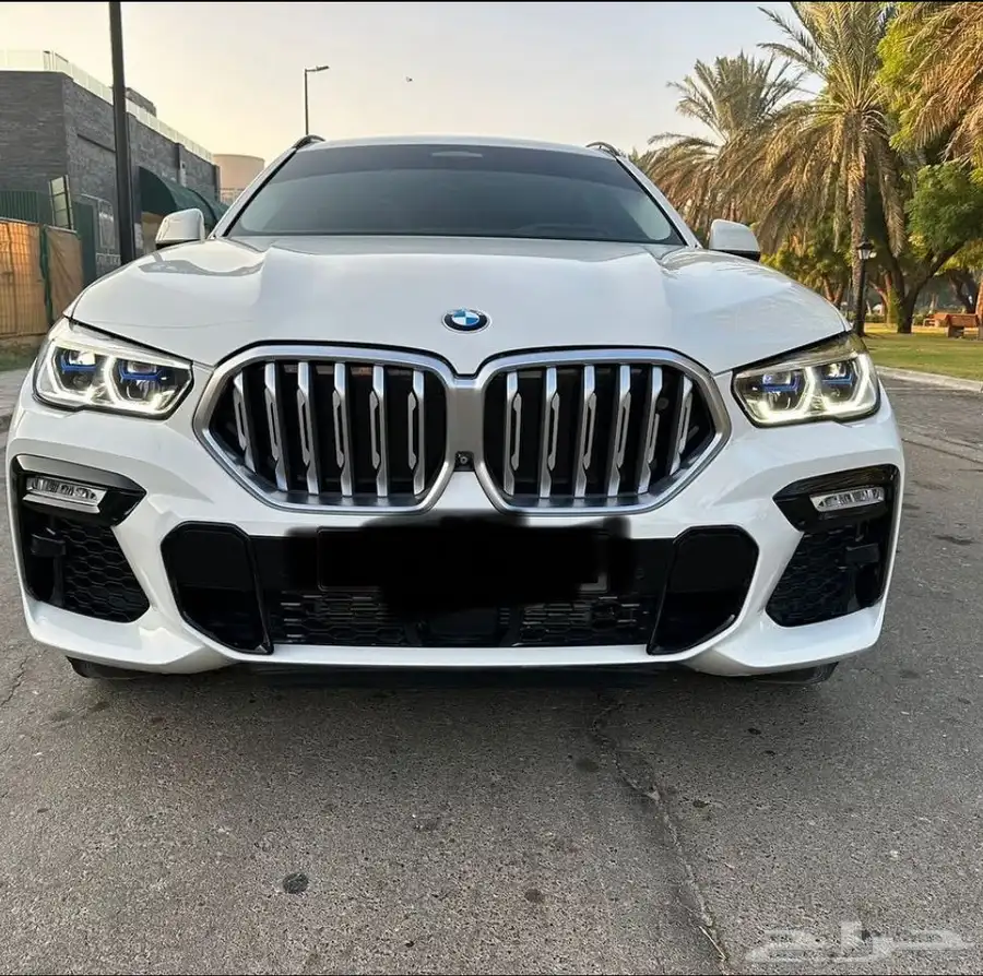 BMW X6 index