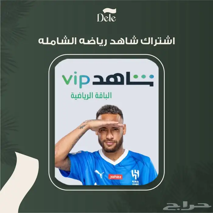 اشتراك نتفلكس وشاهد وجميع برامج التلفزيون رسمي 3