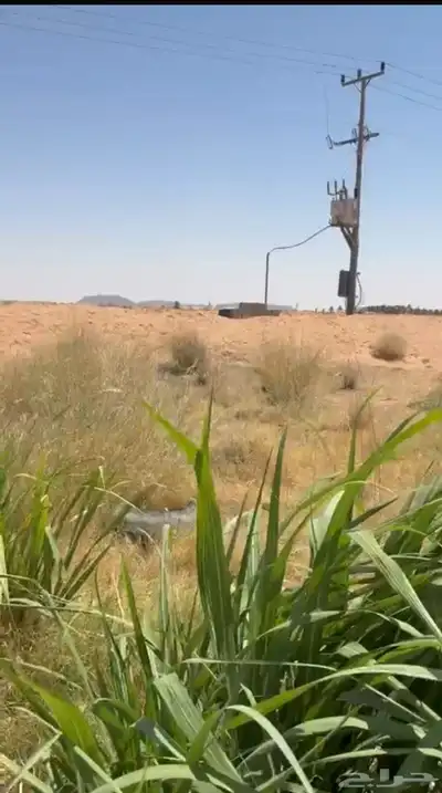 مزرعة للبيع في جانين فيها بير ورشاش 1