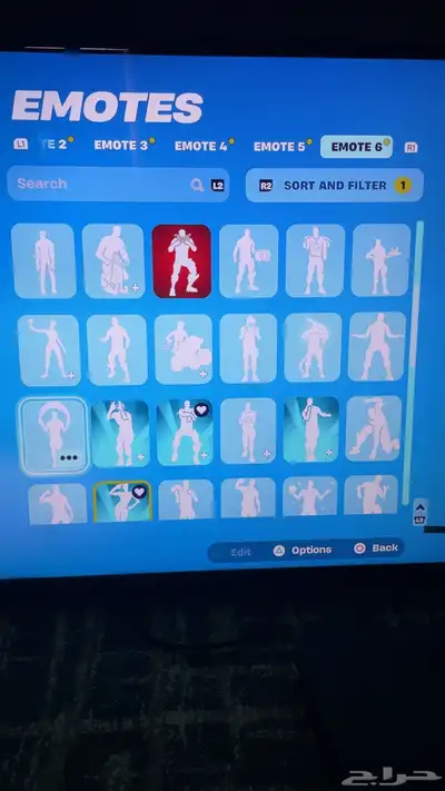 حساب فورت نايت 24
