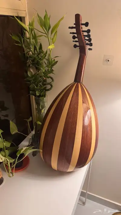 عود سالمين كويتي 1