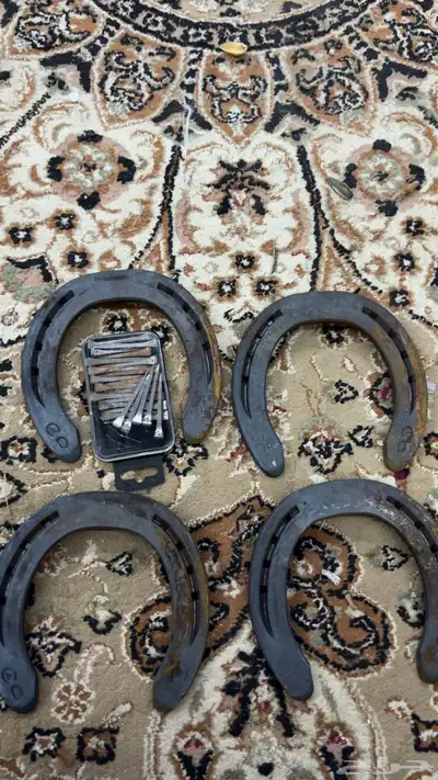 للبيع علاجات خيل و نوفر طلبات اي علاج نوفره لك ان شاء لله 1