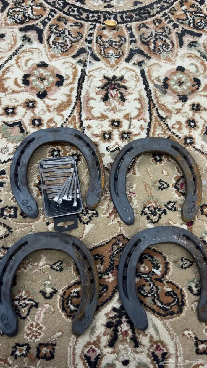 للبيع علاجات خيل و نوفر طلبات اي علاج نوفره لك ان شاء لله 1