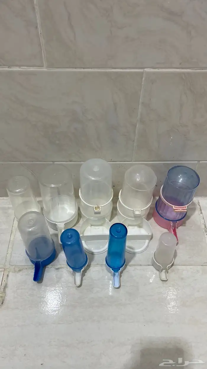 مستلزمات طيور 0